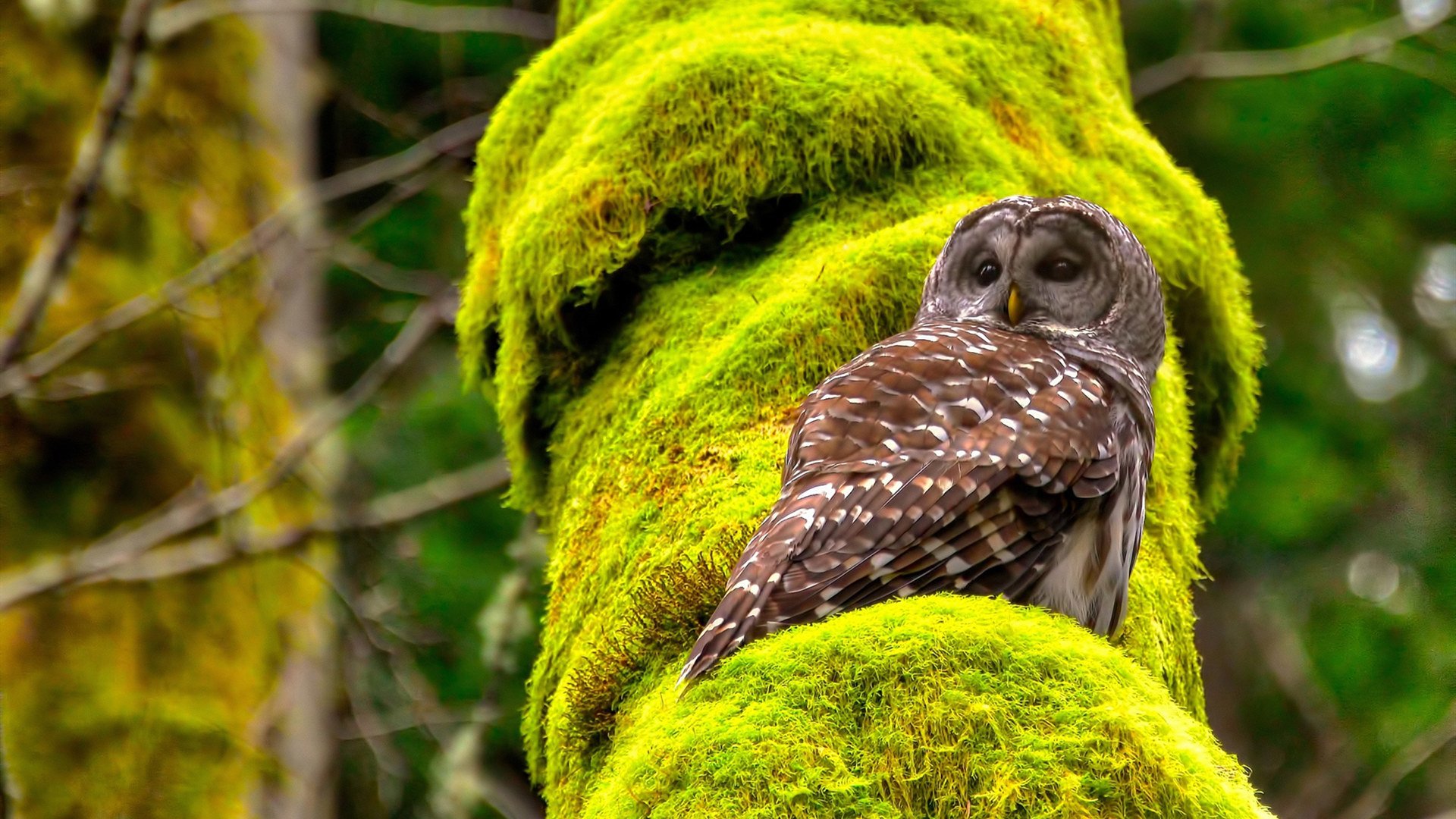 九游娱乐官网 (jiuyou)-NBA球员技能动作精准捕捉与训练方法，nba球员技能动作精准捕捉与训练方法是什么  第3张