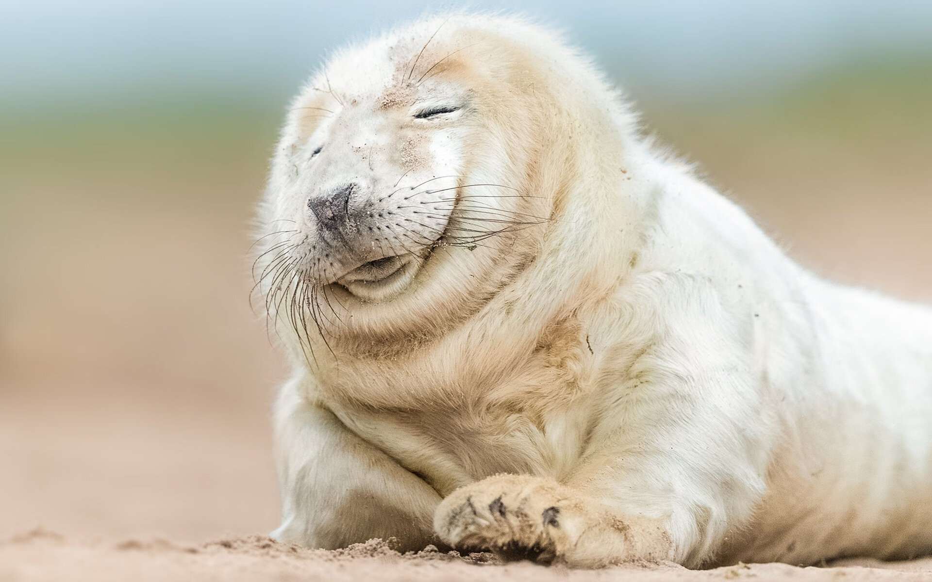 九游下载安装-NBA球员投篮命中率分析，nba投篮命中率包括罚球么