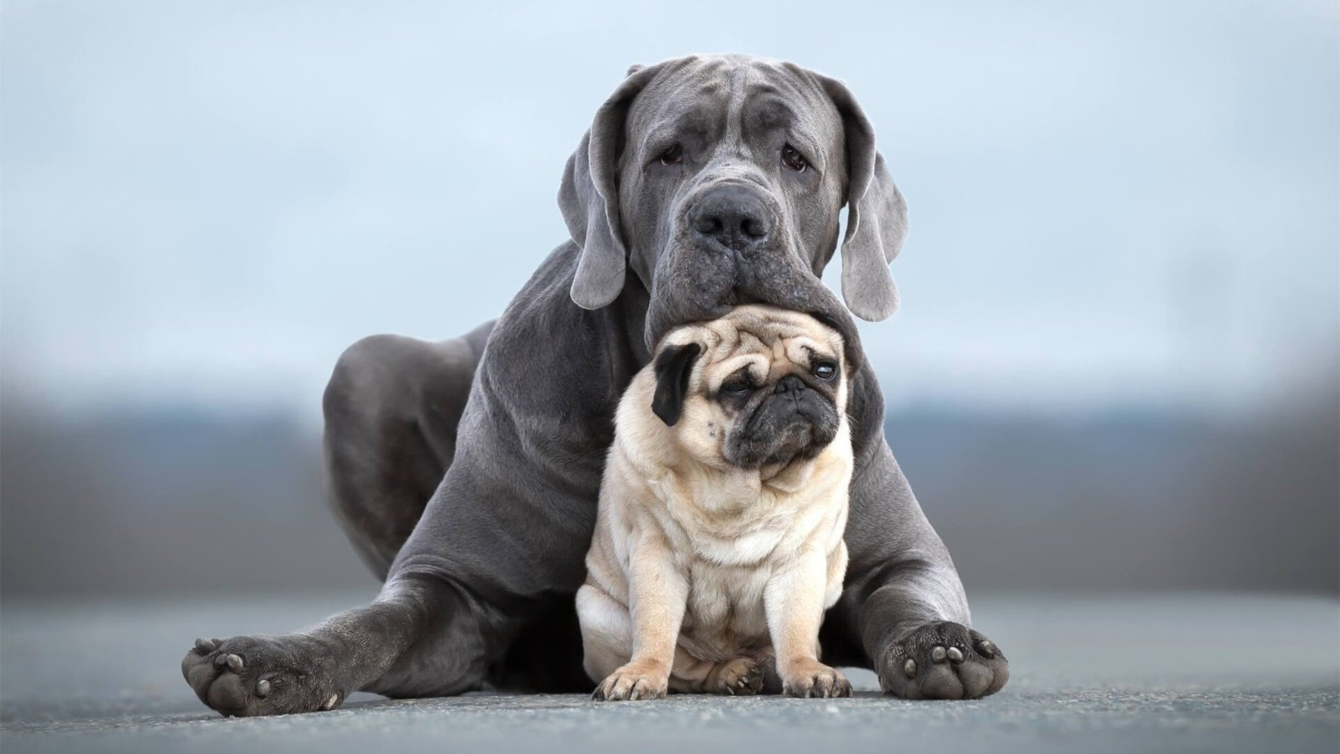 JiuyouAPP下载-NBA球员数据挖掘技术应用，nba 球员数据库