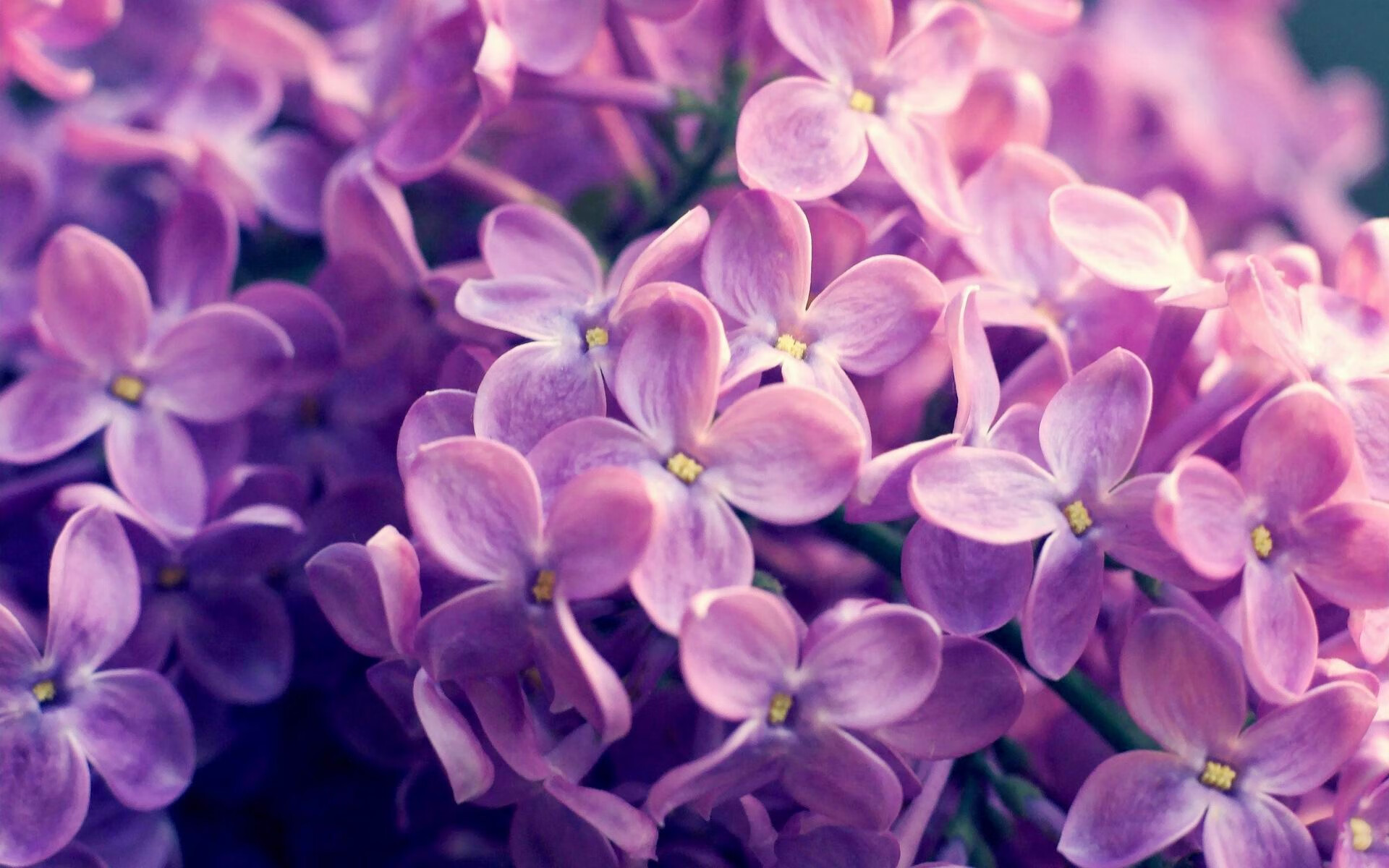 九游(jiuyou)官方网站-NBA球员新秀合同细节，nba2020新秀合同