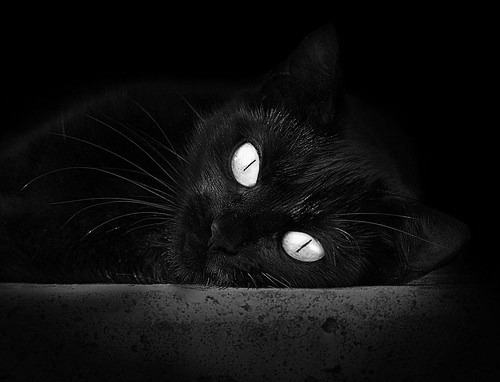 九游游戏中心官网-世界半程马拉松锦标赛非洲选手包揽前五，2020年世界半程马拉松锦标赛在哪个国家