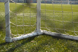 九游登录入口-中国足球门将反应时与扑救角度关系，门将反应和门将扑救