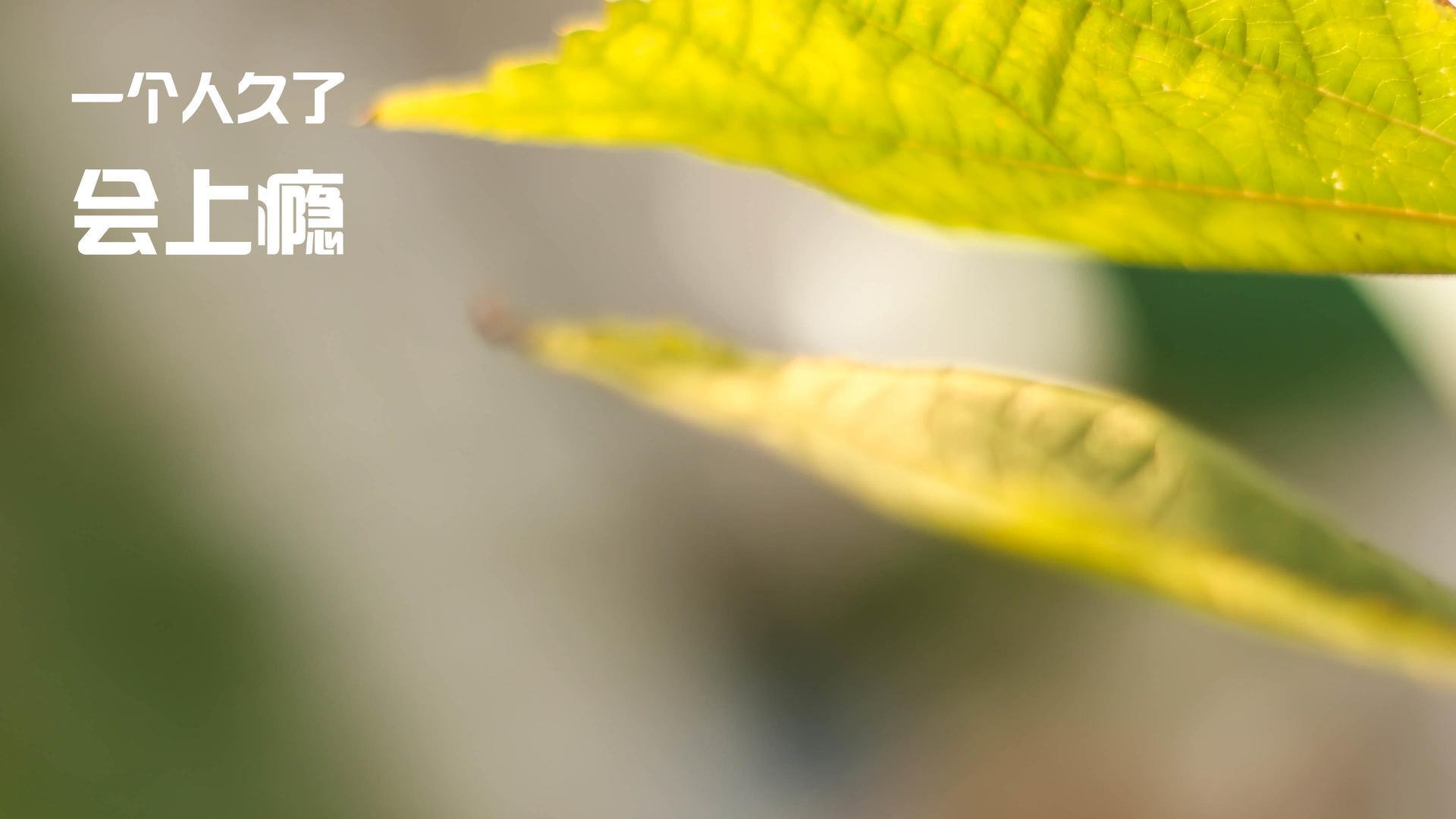 九游登录中心-体育产业园区发展模式比较分析，体育文化产业园建设策划方案