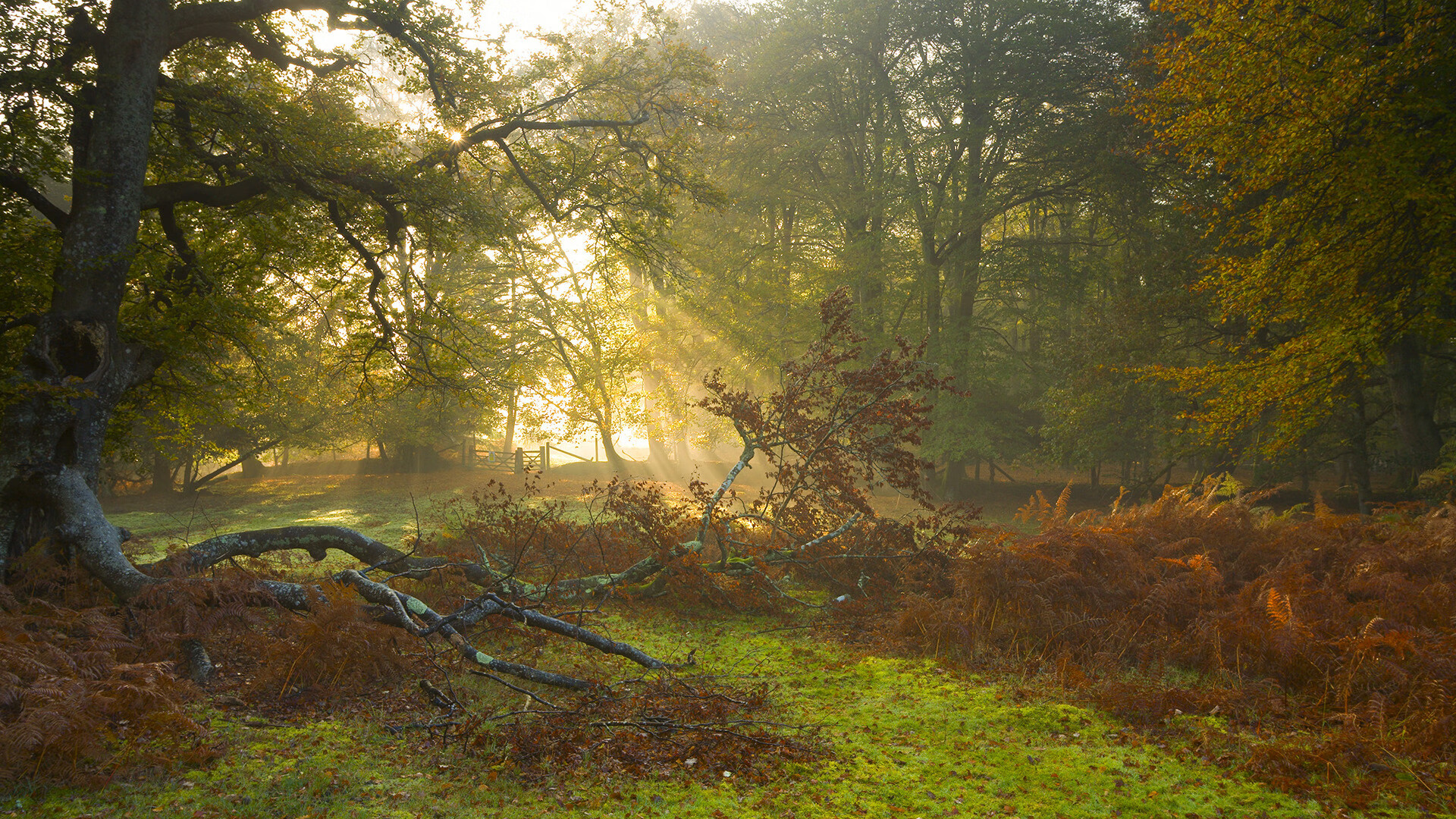 JIUYOU GAMING-体育教学虚拟仿真技术的应用现状，体育教学虚拟仿真技术的应用现状分析