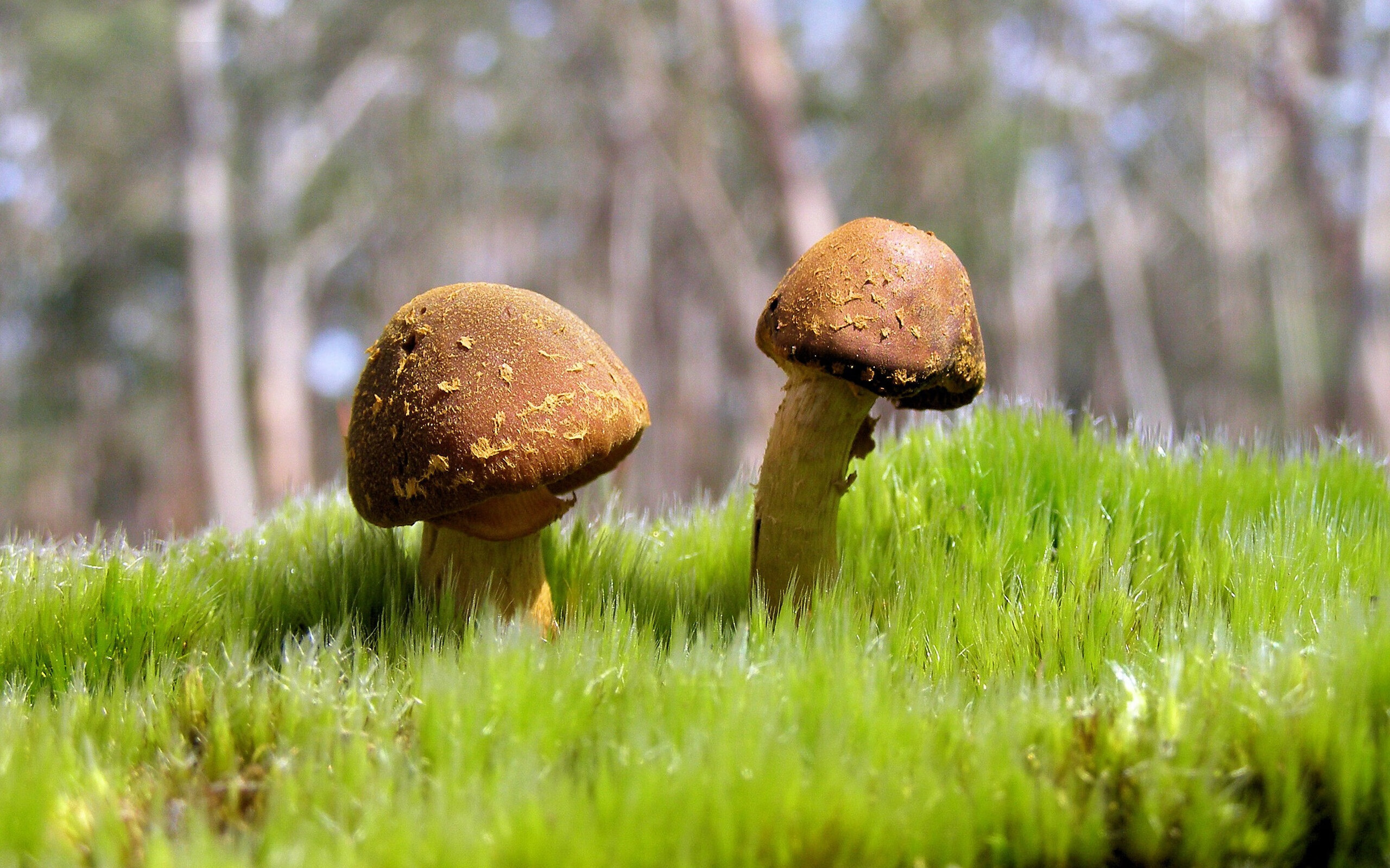 九游app下载中心-法甲球队基于大数据优化边路进攻防守平衡策略，法甲边锋