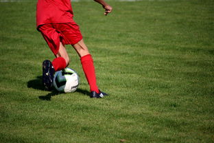 九游官网pc-篮球运动员心理韧性提升及干预体系建设，篮球运动员的心理训练