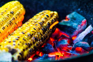 九游正版入口-运动饮食干预对运动表现的促进研究，举例阐述饮食运动对健康的意义