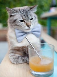 九游娱乐(jiuyou)官方网站-“2025世界运动会：运动舞蹈赛场，舞者在旋转中挑战极限！”