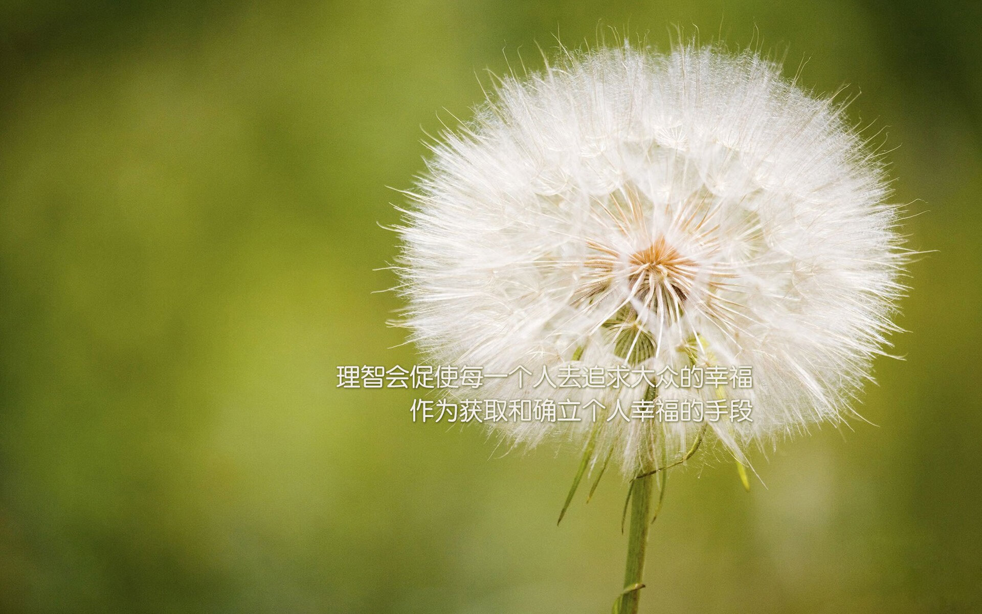 九游9游-划频节奏控制精准，稳定性高，划频和划距对游进速度有什么关系