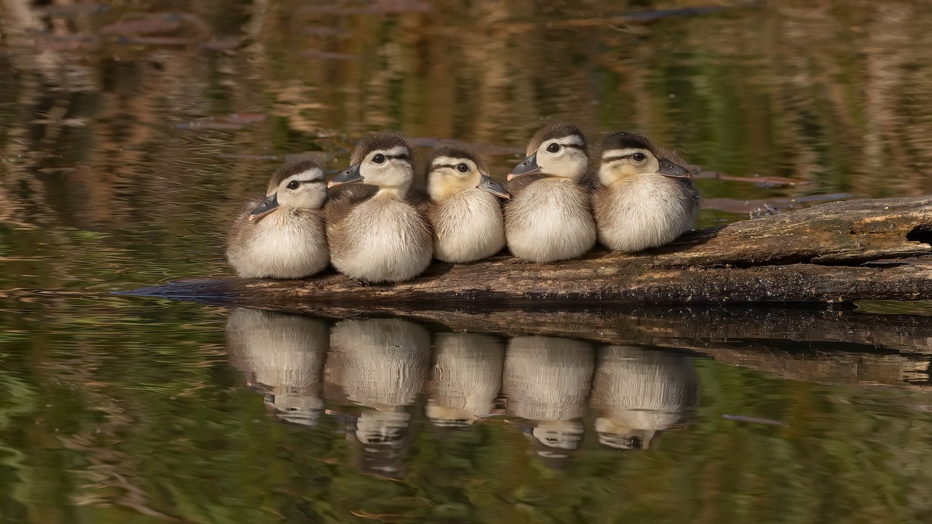 九游网页版入口-新赛季官方球衣采用环保材质，球衣保值吗