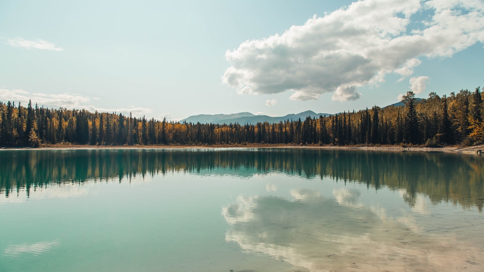 九游网页版官网-职业球员顶薪待遇是否合理反映能力差异，足球顶薪球员
