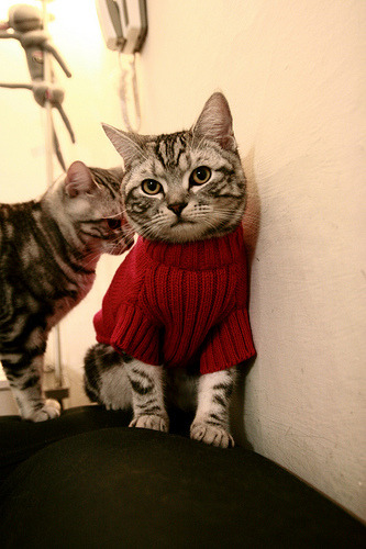 九游娱乐APP-青少年运动技能挑战榜上线受热烈欢迎，中国青少年运动技能大赛