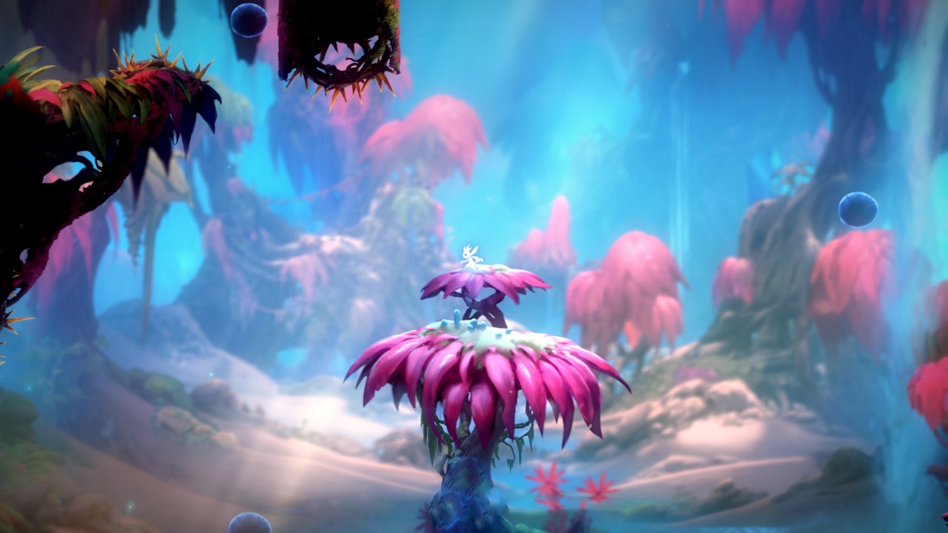 九游网页版官网-76人计划招募球迷参与虚拟主场设计投票，76人官方