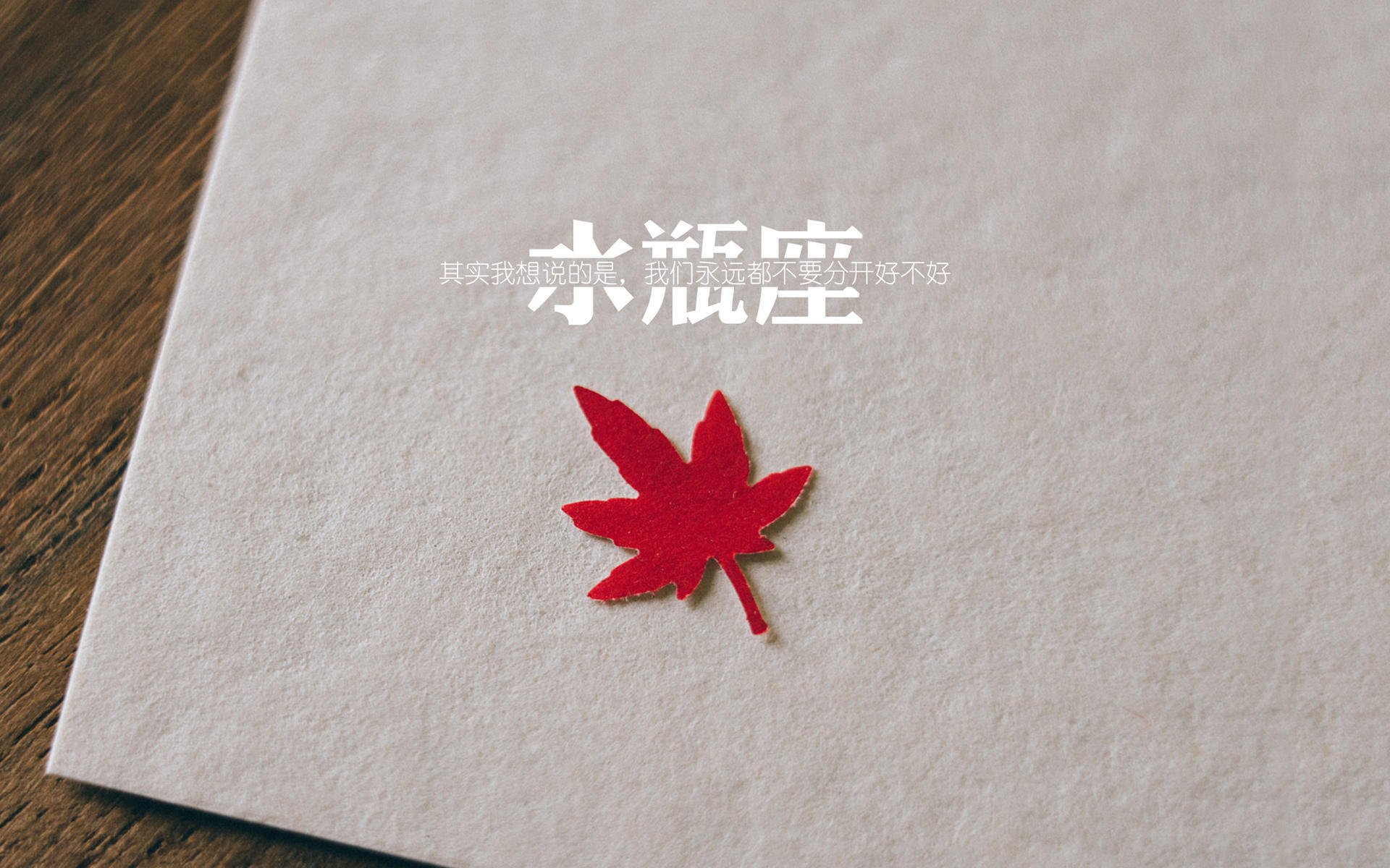 -“帕布罗·马特拉：全能后卫的崛起，带领美洲狮队走向新高峰”