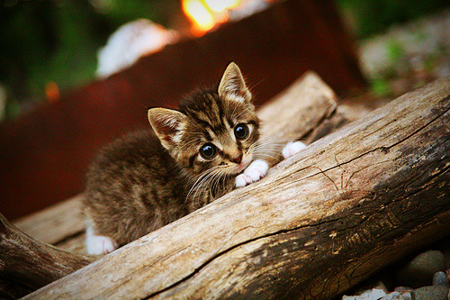 九游官网主页-竞技状态持续上扬全队斗志高昂冲刺赛季最后目标