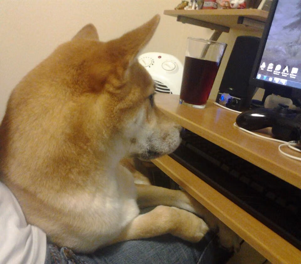 JIUYOU GAMING-米兰双雄激烈争夺，意甲局势紧张