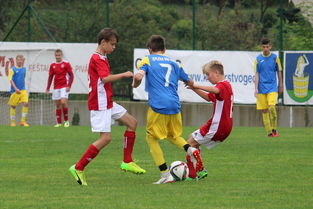 九游电脑版-足球俱乐部财务公开制度促进透明化管理，足球俱乐部财政