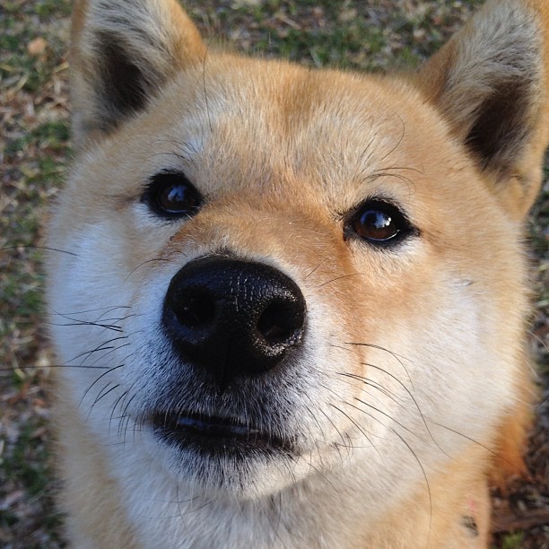 九游登录中心-一项“很有意义”的事业,总书记念兹在兹