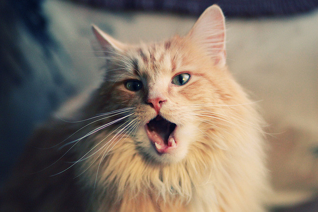 九游娱乐APP-公共体育设施对外开放时间进一步延长，公共体育设施条例